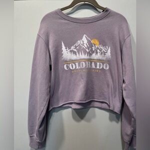 Hollister cropped sweatshirt